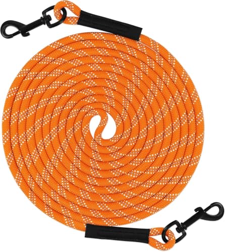 Taglory Schleppleine 10m für Hunde | Reflektierendes Seil | Doppelter Haken | 8mm Orange von Taglory