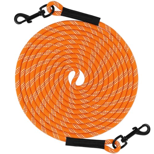 Taglory Schleppleine 10m für Hunde | Reflektierendes Seil | Doppelter Haken | 8mm Orange von Taglory