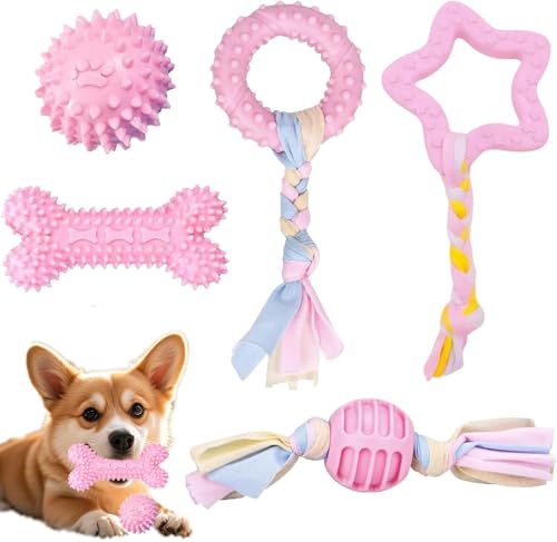 TaiXinYuly 5 Stück Hundespielzeug Set, Kauspielzeug für Welpen und Kleine Hunde mit Ball und Baumwollseilen, Interaktives Spielzeug zur Zahnpflege und Stressabbau，Langlebiges Interaktives Kauspielzeug von TaiXinYuly