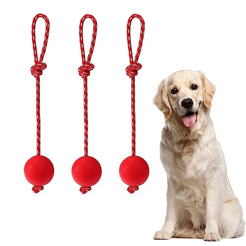 Taicols 3 Stück Elastische Hundespielzeug Ball mit Seil, Naturkautschuk Wurfball Hund, Langlebig, Weich und Elastisch, Haustier Ball Spielzeug mit Seil, für Haustiere Hunde Ausbildung Spielen Übung von Taicols