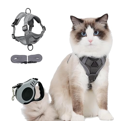 Taicols Atmungsaktives Netz, Harnet für Kätzchen, Welpen, verstellbar, mit reflektierenden Streifen, Leine für Katzen, verstellbar, Katzengeschirr, atmungsaktiv, reflektierend und 3 m einziehbare Taicols Atmungsaktives Netz, Harnet für Kätzchen, Welpen, verstellbar, mit reflektierenden Streifen, Leine für Katzen, verstellbar, Katzengeschirr, atmungsaktiv, reflektierend und 3 m einziehbare von Taicols
