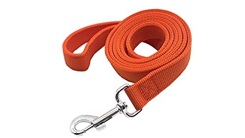 Starke Nylon-Hundeleine mit 2 Schichten, 1,2 m lang, 2,5 cm breit, für mittelgroße und große Hunde, Orange, 2,5 cm x 6 m von Taida