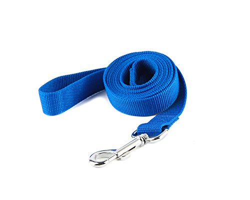 Robuste Hundeleine aus Nylon, Traktionsseil, 1,2 m lang, 1,6 cm, 1,9 cm, 2,5 cm breit, für kleine und mittelgroße Hunde (1,9 cm x 1,2 m, blau) von Taida