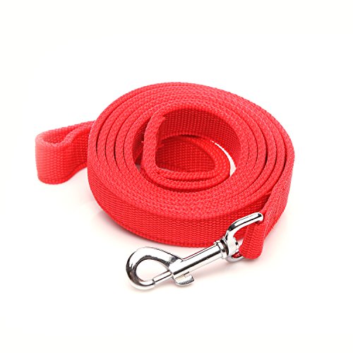 Robuste und langlebige Hundeleine aus Nylon mit 2 Schichten, 1,2 m lang, 2,5 cm breit für mittelgroße und große Hunde (2,5 x 1,2 m, rot) von Taida