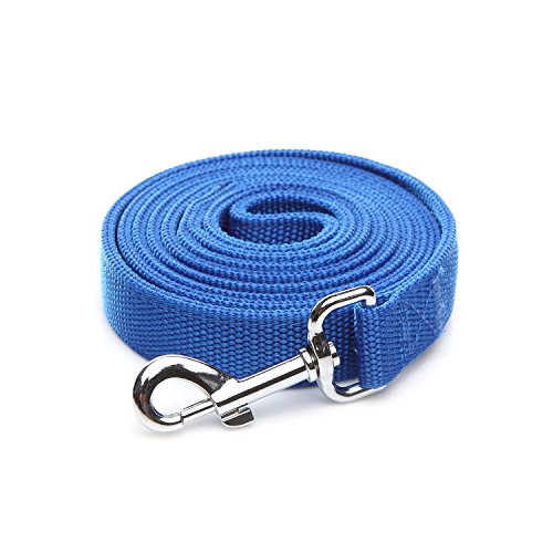 Robuste und langlebige Nylonleine mit 2 Schichten, 2,5 cm breit für mittelgroße und große Hunde (2,5 x 1,5 m, Blau) von Taida