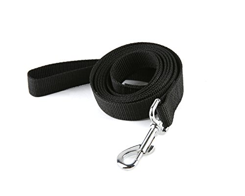 Starke Nylon-Hundeleine, für mittelgroße und große Hunde, zum Spazierengehen, Trainieren oder Erkunden, 3 m lang, 2,5 cm breit Starke Nylon-Hundeleine, für mittelgroße und große Hunde, zum Spazierengehen, Trainieren oder Erkunden, 3 m lang, 2,5 cm breit von Taida