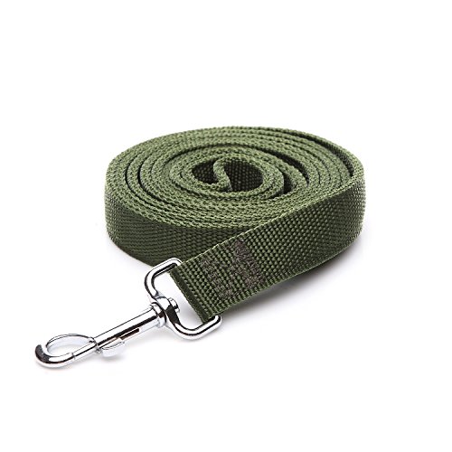 Starke Nylon-Hundeleine mit 2 Schichten, 1,2 m lang, 2,5 cm breit, für mittelgroße und große Hunde (2,5 x 1,5 m, Grün) von Taida