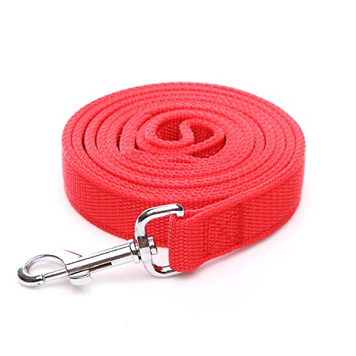 TAIDA Hundeleine aus strapazierfähigem Nylon mit 2 Schichten, 2,5 cm breit für mittelgroße und große Hunde TAIDA Hundeleine aus strapazierfähigem Nylon mit 2 Schichten, 2,5 cm breit für mittelgroße und große Hunde von Taida