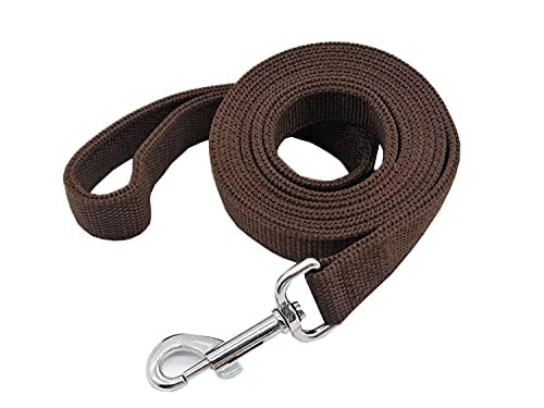 TAIDA Hundeleine aus strapazierfähigem Nylon mit 2 Schichten, 2,5 cm breit für mittelgroße und große Hunde TAIDA Hundeleine aus strapazierfähigem Nylon mit 2 Schichten, 2,5 cm breit für mittelgroße und große Hunde von Taida