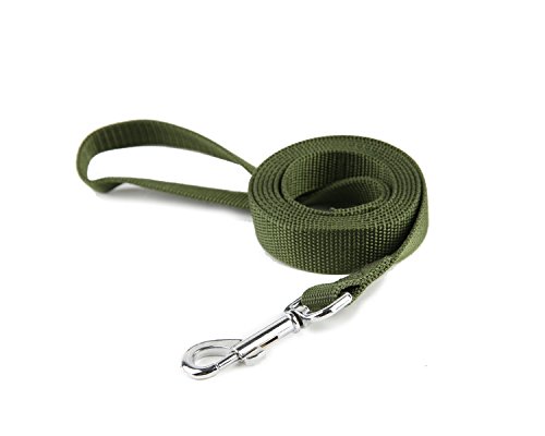 Trainingsleine aus Nylon, Zugseil, 1,2 m, 1,5 m, 1,6 cm, 2,5 cm breit, für kleine und mittelgroße Hunde (2,5 x 2,1 m, Grün) von Taida