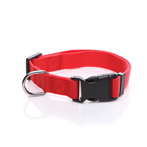 Verstellbares Nylon-Hundehalsband, langlebig, 2,5 cm, 1,9 cm, 1,6 cm breit, für große, mittelgroße und kleine Hunde (1,6 cm, rot) von Taida