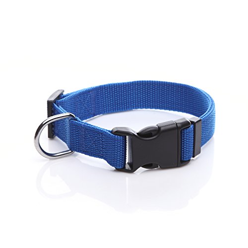 Verstellbares Nylon-Hundehalsband, langlebig, 2,5 cm, 1,9 cm, 1,6 cm breit, für große, mittelgroße und kleine Hunde (1,9 cm, Blau von Taida