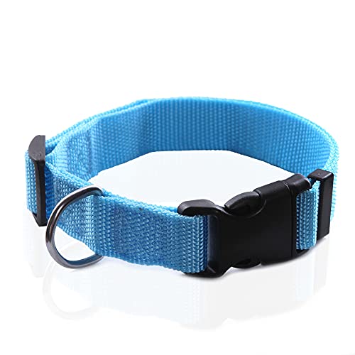 Verstellbares Nylon-Hundehalsband, langlebiges Haustierhalsband, 2,5 cm, 1,9 cm, 1,6 cm breit, für große, mittelgroße und kleine Hunde, Größe L (2,5 x 40,6–58,4 cm), Himmelblau von Taida