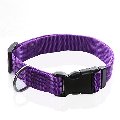 Verstellbares Nylon-Hundehalsband, langlebiges Haustierhalsband, 2,5 cm, 1,9 cm, 1,6 cm breit, für große, mittelgroße und kleine Hunde, Größe L (2,5 x 40,6–58,4 cm), Lila) von Taida