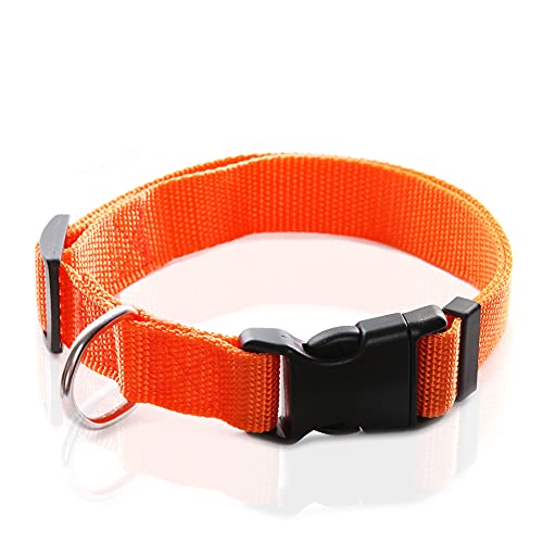 Verstellbares Nylon-Hundehalsband, langlebiges Haustierhalsband, 2,5 cm, 1,9 cm, 1,6 cm breit, für große, mittelgroße und kleine Hunde, Größe L (2,5 x 40,6–58,4 cm), Orange) von Taida