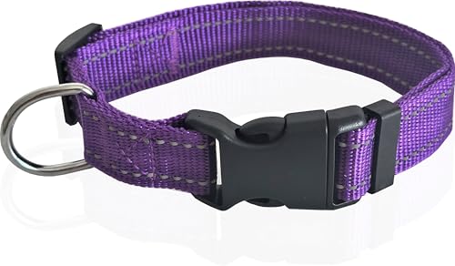 Verstellbares Nylon-Hundehalsband, reflektierendes Halsband, 2,5 cm, 1,9 cm, 1,6 cm breit, für große, mittelgroße und kleine Hunde Verstellbares Nylon-Hundehalsband, reflektierendes Halsband, 2,5 cm, 1,9 cm, 1,6 cm breit, für große, mittelgroße und kleine Hunde von Taida