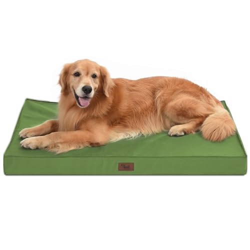 Tail Stories Extra großes Hundebett für große Hunde, wasserdichtes Hundebett für große Hunde, Eierkisten-Schaumstoff-XL-Haustierbett mit abnehmbarem, waschbarem Oxford-Kühlbezug, Hellgrün Tail Stories Extra großes Hundebett für große Hunde, wasserdichtes Hundebett für große Hunde, Eierkisten-Schaumstoff-XL-Haustierbett mit abnehmbarem, waschbarem Oxford-Kühlbezug, Hellgrün von Tail Stories