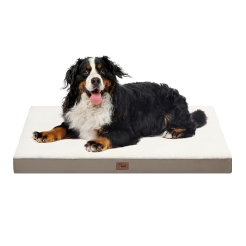 Tail Stories Hundekäfigbett, waschbar, Hundebetten für große Hunde, großes wasserdichtes orthopädisches Hundebett mit Eierkisten-Schaumstoff-Haustierbett-Matte, abnehmbarer Oxford-Kühlbezug, Tail Stories Hundekäfigbett, waschbar, Hundebetten für große Hunde, großes wasserdichtes orthopädisches Hundebett mit Eierkisten-Schaumstoff-Haustierbett-Matte, abnehmbarer Oxford-Kühlbezug, von Tail Stories