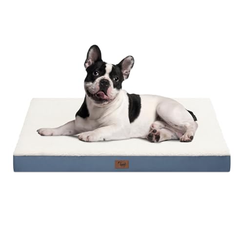Tail Stories Mittelgroßes Hundebett für mittelgroße und kleine Hunde, orthopädische Hundebetten mit abnehmbarem, waschbarem, wasserdichtem Bezug, Eierkisten-Schaumstoff-Haustierbett-Matte, Blau Weiß Tail Stories Mittelgroßes Hundebett für mittelgroße und kleine Hunde, orthopädische Hundebetten mit abnehmbarem, waschbarem, wasserdichtem Bezug, Eierkisten-Schaumstoff-Haustierbett-Matte, Blau Weiß von Tail Stories