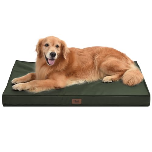 Tail Stories Outdoor Allwetter Hundebett Wasserdichtes Hundebett für große Hunde Orthopädisches Eierschaum Haustierbett mit waschbarem und abnehmbarem Oxford-Kühlbezug Tail Stories Outdoor Allwetter Hundebett Wasserdichtes Hundebett für große Hunde Orthopädisches Eierschaum Haustierbett mit waschbarem und abnehmbarem Oxford-Kühlbezug von Tail Stories