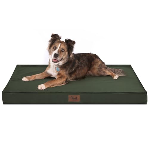 Tail Stories Outdoor Allwetter Hundebett Wasserdichtes Hundebett für große Hunde Orthopädisches Eierschaum Haustierbett mit waschbarem und abnehmbarem Oxford-Kühlbezug Tail Stories Outdoor Allwetter Hundebett Wasserdichtes Hundebett für große Hunde Orthopädisches Eierschaum Haustierbett mit waschbarem und abnehmbarem Oxford-Kühlbezug von Tail Stories