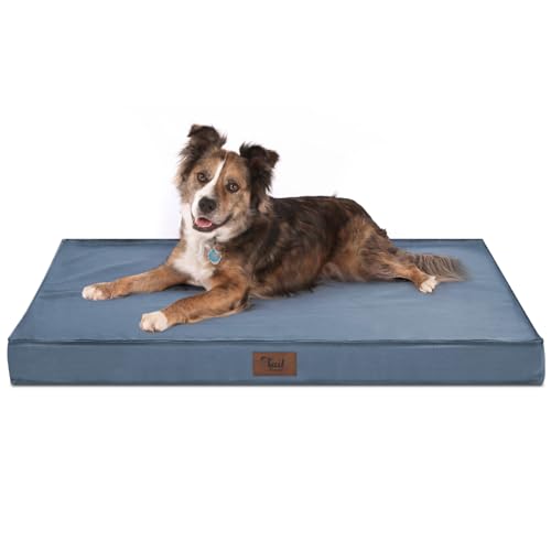 Tail Stories Outdoor Hundebett, Wasserdichtes Hundebett für Große Hunde, Orthopädisches Eierschaum-Haustierbett mit waschbarem und abnehmbarem Oxford-Kühlbezug, Hellblau, L Tail Stories Outdoor Hundebett, Wasserdichtes Hundebett für Große Hunde, Orthopädisches Eierschaum-Haustierbett mit waschbarem und abnehmbarem Oxford-Kühlbezug, Hellblau, L von Tail Stories