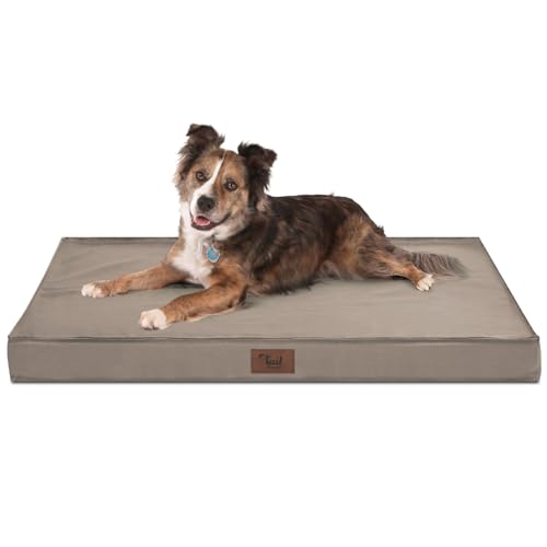 Tail Stories Outdoor Hundebett, Wasserdichtes Hundebett für große Hunde, orthopädisches Eierschaum-Haustierbett mit waschbarem und abnehmbarem Oxford-Kühlbezug, Khaki L von Tail Stories