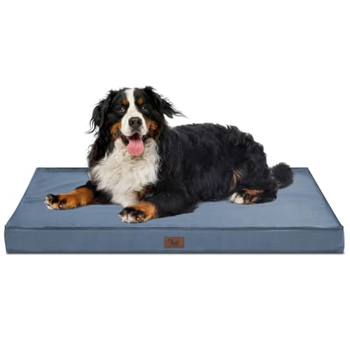 Tail Stories Outdoor Hundebett, Wasserdichtes Hundebett für große Hunde, orthopädisches Eischaum, unzerstörbares Haustierbett mit waschbarem, abnehmbarem kühlendem Hundebettbezug, Hellblau, XXL Tail Stories Outdoor Hundebett, Wasserdichtes Hundebett für große Hunde, orthopädisches Eischaum, unzerstörbares Haustierbett mit waschbarem, abnehmbarem kühlendem Hundebettbezug, Hellblau, XXL von Tail Stories