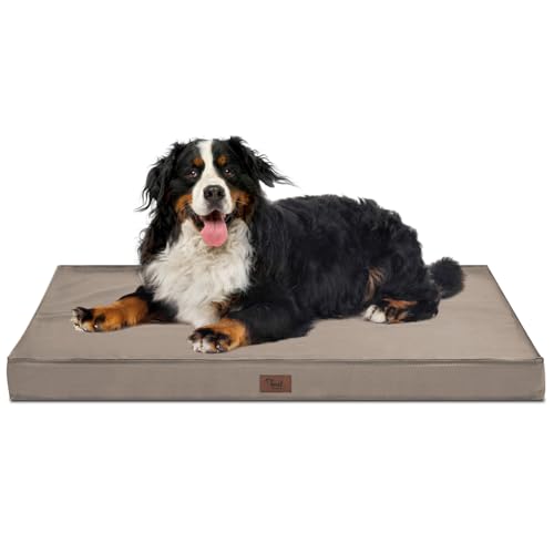 Tail Stories Outdoor Hundebett, Wasserdichtes Hundebett für große Hunde, orthopädisches Eischaum, unzerstörbares Haustierbett mit waschbarem, abnehmbarem kühlendem Hundebettbezug, Khaki, XXL von Tail Stories