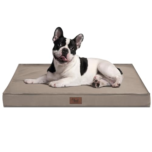 Tail Stories Outdoor Haustierbett für mittelgroße und kleine Hunde & Katzen, wasserdicht, orthopädisch, unzerstörbar, mit abnehmbarem Kühlbezug, Khaki Tail Stories Outdoor Haustierbett für mittelgroße und kleine Hunde & Katzen, wasserdicht, orthopädisch, unzerstörbar, mit abnehmbarem Kühlbezug, Khaki von Tail Stories