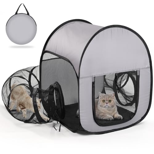 TailTastic Katzengehege Outdoor mit Tunnel - Ausbruchsicheres, atmungsaktives und gut sichtbares Netzgewebe, faltbarer Haustier-Laufstall für Hinterhof, Camping, Reisen TailTastic Katzengehege Outdoor mit Tunnel - Ausbruchsicheres, atmungsaktives und gut sichtbares Netzgewebe, faltbarer Haustier-Laufstall für Hinterhof, Camping, Reisen von TailTastic