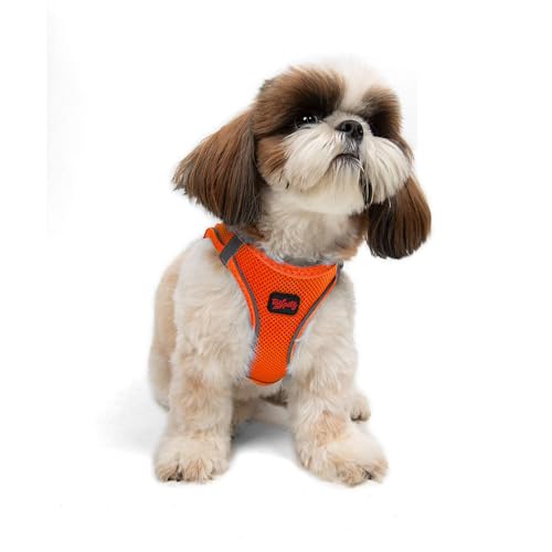 Tailpetz Air Mesh Step In Vest Hundegeschirr für Mittlere und Kleine Hunde, Neon Orange S Tailpetz Air Mesh Step In Vest Hundegeschirr für Mittlere und Kleine Hunde, Neon Orange S von Tailpetz