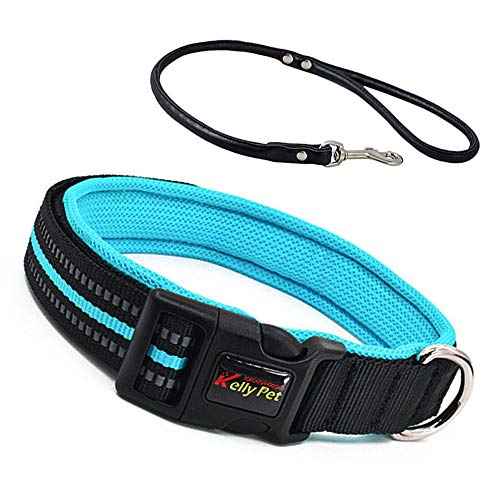 TaimeiMao Hundehalsband, katzenhalsband mit sicherheitsverschluss,Schnellverschluss Katzenhalsband,Reflektierendes Katzenhalsband,verstellbar Nylon Katzenhalsband (L, Blau) von TaimeiMao