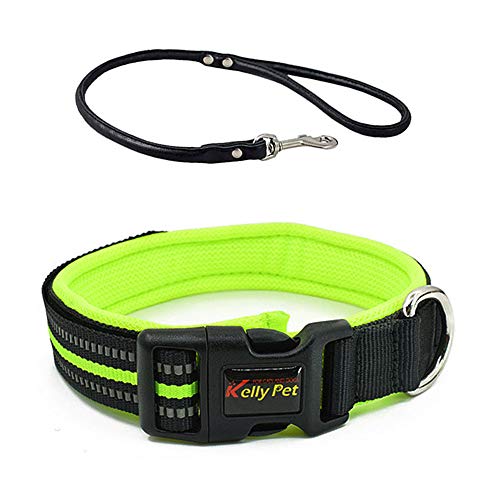 TaimeiMao Hundehalsband, nhalsband mit sicherheitsverschluss,Verstellbare Haustier Sicherheit Halsband für Klein Mittlere Große Hunde (L, Grün) von TaimeiMao