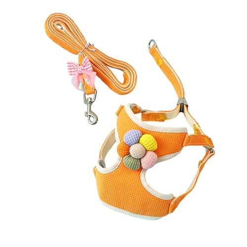 Tainrunse Haustierweste, leicht zu reinigen, bequem, atmungsaktiv, mit Leine, 3D-Blumendekor, verstellbare Schnalle, kein Ziehen, ausbruchsicher, für kleine Hunde, Orange, Größe S Tainrunse Haustierweste, leicht zu reinigen, bequem, atmungsaktiv, mit Leine, 3D-Blumendekor, verstellbare Schnalle, kein Ziehen, ausbruchsicher, für kleine Hunde, Orange, Größe S von Tainrunse