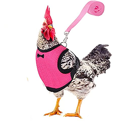 Huhn-Gürtel mit passendem Gürtel, bequem, atmungsaktiv, Größe S, M, L, XL, geeignet für Hühner, Enten oder Gans, geeignet für Gewicht von ca. 1,7–2,2 kg (Rosa, L) von Take Idea