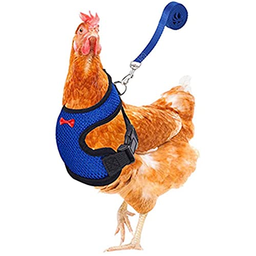 Huhn-Gürtel mit passendem Gürtel, bequem, atmungsaktiv, Größe S, M, L, XL, geeignet für Hühner, Enten oder Gans, geeignet für Gewicht von ca. 1,7–2,2 kg (blau, XL) von Take Idea