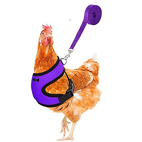 Huhn-Gürtel mit passendem Gürtel, bequem, atmungsaktiv, Größe S, M, L, XL, geeignet für Hühner, Enten oder Gans, geeignet für Gewicht von ca. 1,7–2,2 kg (lila, L) von Take Idea