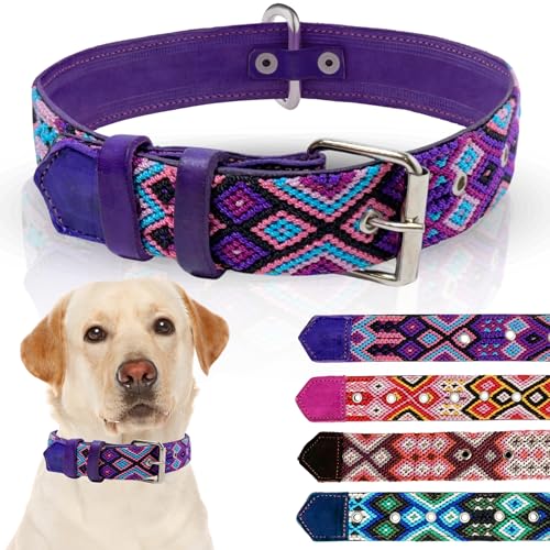 Hundehalsband aus Leder, Western-Hundehalsband, besticktes Design, handgefertigt, für Jungen, Mädchen, Blau, Rosa, Braun, Lila, kleine, mittelgroße und große Hunde, niedliches Hundehalsband, Halsband Hundehalsband aus Leder, Western-Hundehalsband, besticktes Design, handgefertigt, für Jungen, Mädchen, Blau, Rosa, Braun, Lila, kleine, mittelgroße und große Hunde, niedliches Hundehalsband, Halsband von Talrio