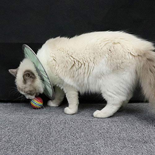 Wasserdichtes Katzenhalsband, Elisabethanisches Halsband, Anti-Lecken, Leichtes, Atmungsaktives, Schützendes Anti-Biss-Halsband, Verstellbares Haustier-Kegelhalsband, für Katzen, Wasserdichtes Katzenhalsband, Elisabethanisches Halsband, Anti-Lecken, Leichtes, Atmungsaktives, Schützendes Anti-Biss-Halsband, Verstellbares Haustier-Kegelhalsband, für Katzen, von Tanant