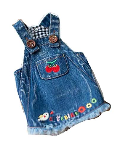 TaniWina Haustierkleidung Denim Stickerei Pullover Kleid - Süßes und stilvolles Kleid für kleine Hunde (M) von TaniWina