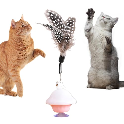 Interaktives Katzenspielzeug für Hauskatzen, Interaktives Katzenspielzeug - Kätzchen-Federspielzeug für Hauskatzen - Simulations-Boden-Saugnapf-Spielzeug für Katzen im Innenbereich, austauschbares Kop Interaktives Katzenspielzeug für Hauskatzen, Interaktives Katzenspielzeug - Kätzchen-Federspielzeug für Hauskatzen - Simulations-Boden-Saugnapf-Spielzeug für Katzen im Innenbereich, austauschbares Kop von Tanxemery