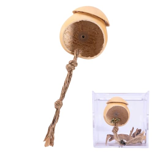 Spinnen Terrarium | Natürliches Holz Terrarium Für Springspinnen,Reptilien Zubehör Aus Holz Mit Saugnapf Für Landschaftsgestaltung Und Dekoration Spinnen Terrarium | Natürliches Holz Terrarium Für Springspinnen,Reptilien Zubehör Aus Holz Mit Saugnapf Für Landschaftsgestaltung Und Dekoration von Tanxier
