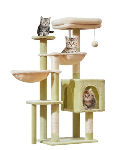Taoqimiao MS019GB Kratzbaum, Katzenturm für Indoor-Katzen, geeignet für Kätzchen, Plüsch-Katzenhaus mit 5 Kratzstämmen, Plüsch-Sitzstange, 2 Hängematte, Pompons, MS019GB, Grün und Beige Taoqimiao MS019GB Kratzbaum, Katzenturm für Indoor-Katzen, geeignet für Kätzchen, Plüsch-Katzenhaus mit 5 Kratzstämmen, Plüsch-Sitzstange, 2 Hängematte, Pompons, MS019GB, Grün und Beige von Taoqimiao