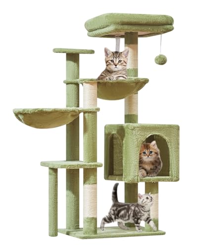Taoqimiao MS019GR Kratzbaum, Katzenturm für Indoor-Katzen, geeignet für Kätzchen, Plüsch-Katzenhaus mit 5 Kratzstämmen, Plüsch-Sitzstange, 2 Hängematte, Pompons, 100 cm, Grün Taoqimiao MS019GR Kratzbaum, Katzenturm für Indoor-Katzen, geeignet für Kätzchen, Plüsch-Katzenhaus mit 5 Kratzstämmen, Plüsch-Sitzstange, 2 Hängematte, Pompons, 100 cm, Grün von Taoqimiao