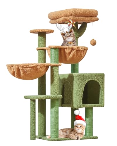Taoqimiao MS019T Kratzbaum, Katzenturm für Indoor-Katzen, geeignet für Kätzchen, Plüsch-Katzenhaus mit 5 Kratzstämmen, Plüsch-Sitzstange, 2 Hängematte, Pompons, MS019T Kaktus Taoqimiao MS019T Kratzbaum, Katzenturm für Indoor-Katzen, geeignet für Kätzchen, Plüsch-Katzenhaus mit 5 Kratzstämmen, Plüsch-Sitzstange, 2 Hängematte, Pompons, MS019T Kaktus von Taoqimiao