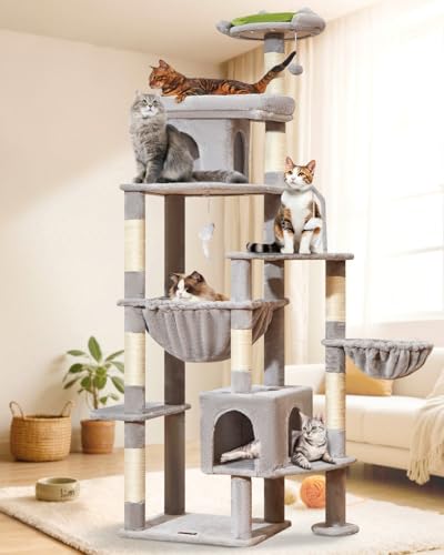 Taoqimiao MS032W Kratzbaum für Indoor-Katzen, große Erwachsene, XXL-Katzenturm, geeignet ab 9 kg, robuste große Katzen, 2 luxuriöse Katzenkratzbäume mit 8 Kratzstämmen, übergroße Metall-Hängematten Taoqimiao MS032W Kratzbaum für Indoor-Katzen, große Erwachsene, XXL-Katzenturm, geeignet ab 9 kg, robuste große Katzen, 2 luxuriöse Katzenkratzbäume mit 8 Kratzstämmen, übergroße Metall-Hängematten von Taoqimiao
