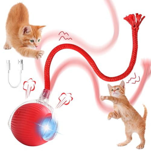 Taozoey Katzenspielzeug Elektrisch, Interaktives Katzenball Spielzeug, Katzenspielzeug Ball mit USB Aufladbar, Interaktiver Spielball mit Schwanz für Katzen Taozoey Katzenspielzeug Elektrisch, Interaktives Katzenball Spielzeug, Katzenspielzeug Ball mit USB Aufladbar, Interaktiver Spielball mit Schwanz für Katzen von Taozoey