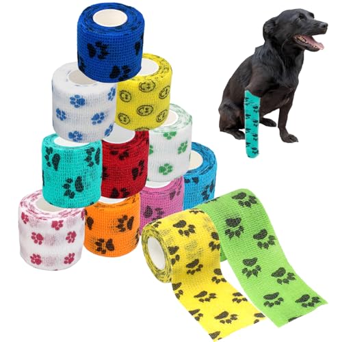 Tashce 12 Stück Selbstklebende Bandage, Elastische Haftbinde für Haustiere, Elastische Kohäsive Fixierbinde, Selbstklebender Verband, Cohesive Pet Vet Wrap für Katze, Hund, Pferd Bein Klebeverband Tashce 12 Stück Selbstklebende Bandage, Elastische Haftbinde für Haustiere, Elastische Kohäsive Fixierbinde, Selbstklebender Verband, Cohesive Pet Vet Wrap für Katze, Hund, Pferd Bein Klebeverband von Tashce