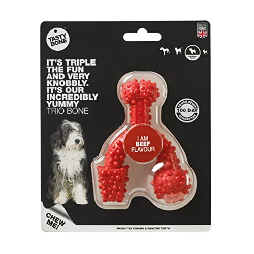 Rosewood 57051 TastyBone Trio Gummi-Hundespielzeug, Rindfleisch, small von Tasty Bone